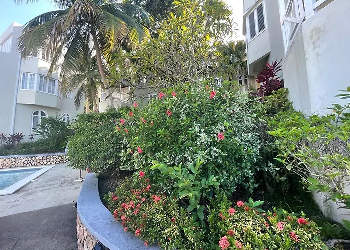 Hummingbird Retreat - Luxury Oceanview Apt, 7-Minute Walk To Beach